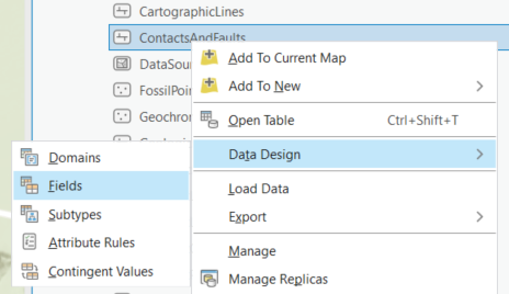 Data Design Fields
