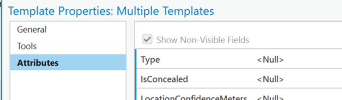 Template Properties Attribute Option